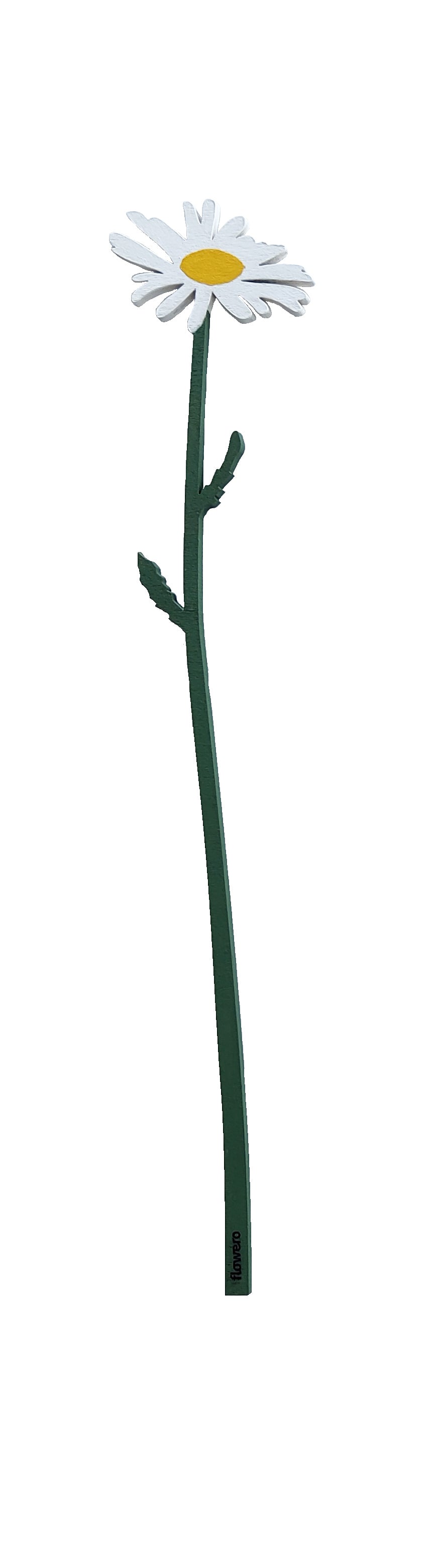 Kesäkimppu