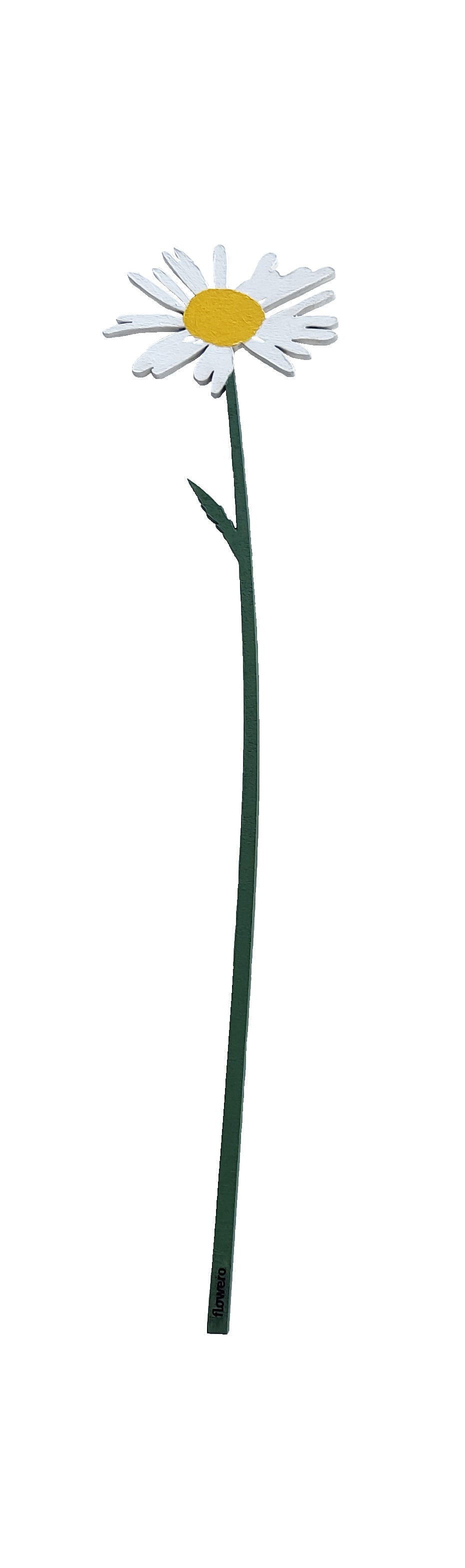 Kesäkimppu