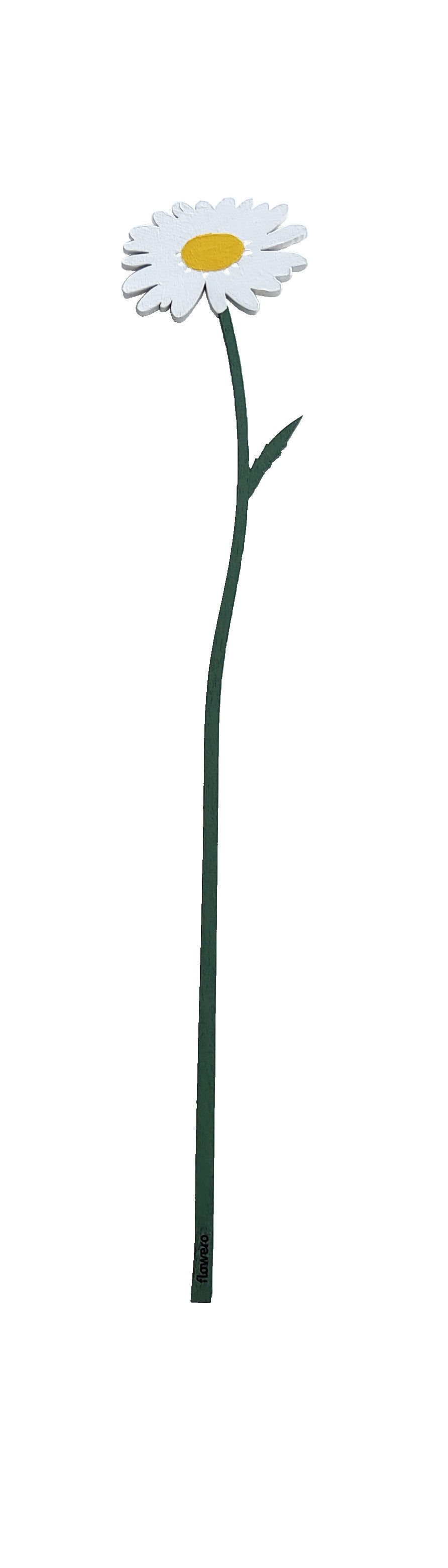 Kesäkimppu