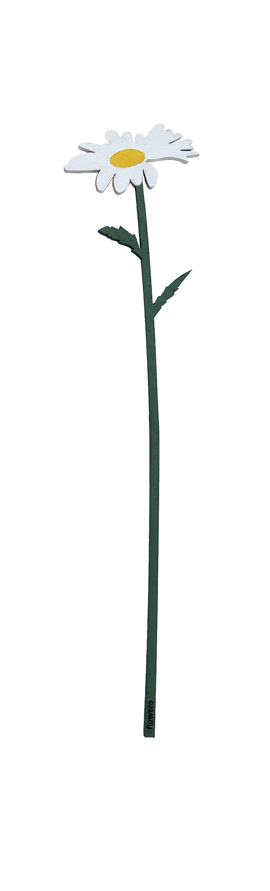 Kesäkimppu