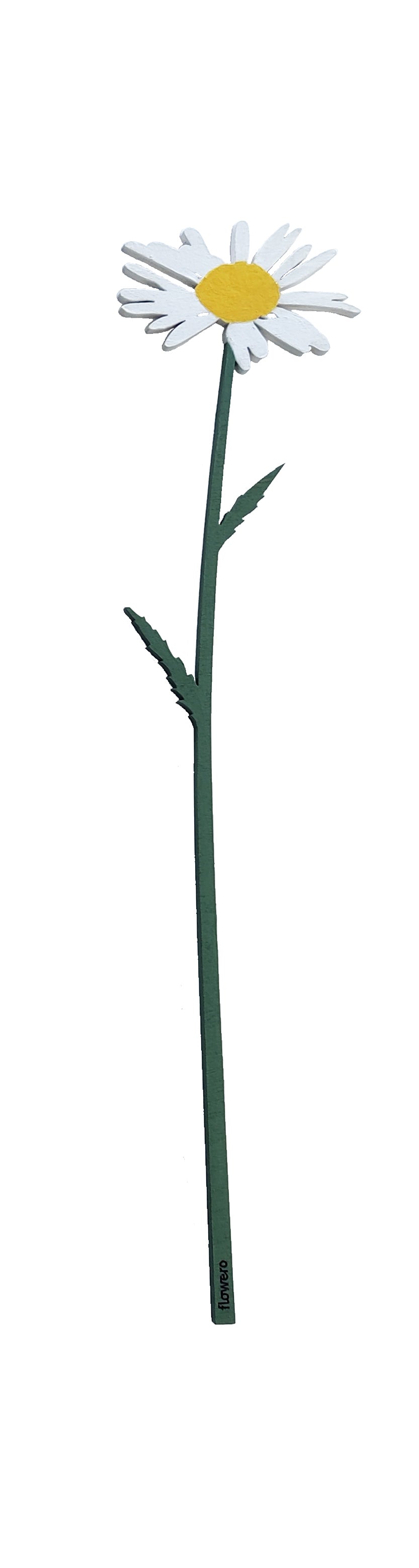 Kesäkimppu